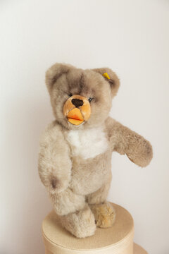 Braunschweig, Germany - Mai 10, 2025. Close up of a teddy bear of the famous German brand Steiff on a white background with copy space. Childhood, nostalgia, collecting and premium toys.