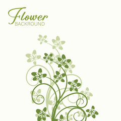 Summer Floral Line Art Design Elegant Botanical Illustrations for Print and Web