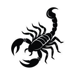 Elegant black and white scorpion illustration featuring detailed silhouette and isolated presentation for various design projects