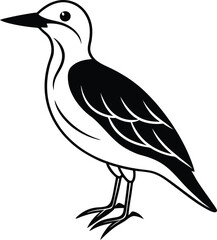 vector illustration of a bird