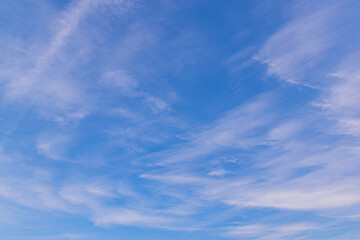 Fototapeta premium 青空と雲