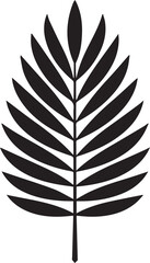 Dried Palm Leaf Silhouette Vector – Elegant Black Botanical Illustration