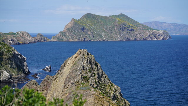 Rocky Mountain peak of Anacapa Island with view of distant mountain cliffs covered in yellow flowers projecting out of Pacific Ocean off the coast of California