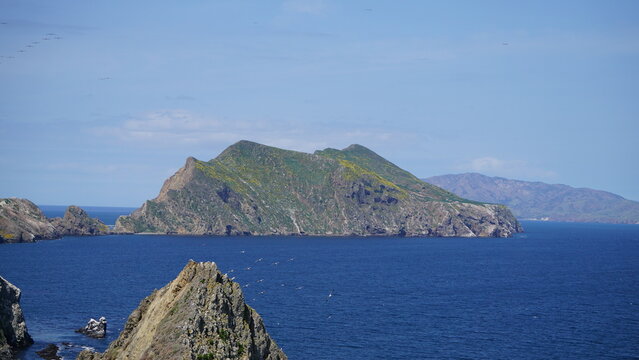 Peaks of Anacapa Island projecting out of ocean in spring with green grass and yellow flowers and rocky mountains in California