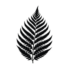 Fototapeta premium Elegant black fern leaf silhouette on white background for decorative design elements
