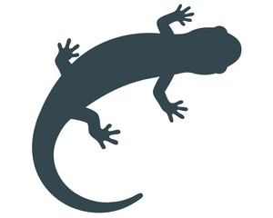 Obraz premium Silhouette of a Lizard Crawling with Detailed Features and Graceful Curves