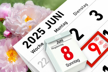 Kalender Pfingsten 8. und 9. Juni  2025 Pfingstsonntag Pfingstmontag mit Pfingstrosen