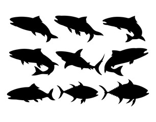 Silhouette illustration of nine fish including salmon tuna and shark species group