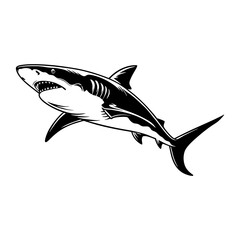 Obraz premium Illustration of a great white shark with sharp teeth in black and white design style silhouette