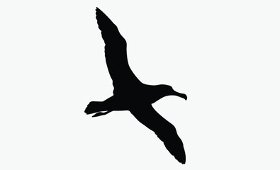 albatross bird silhouette, flying seabird vector, wide wingspan shape, black white albatross, ocean bird outline
