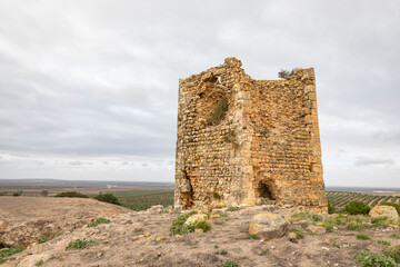ruins of the castle of Torres Alocaz, Utrera, Sevilla, Andalusia, Spain