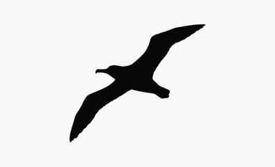 albatross bird silhouette, flying seabird vector, wide wingspan shape, black white albatross, ocean bird outline
