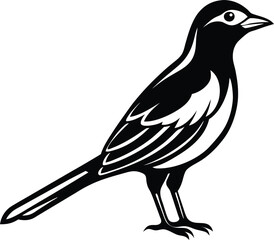 silhouette of a bird