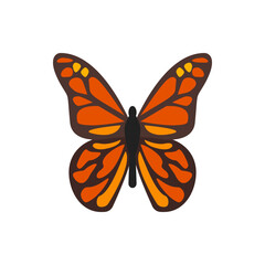 Illustration of a monarch butterfly with orange and brown wings and a black body on a white background