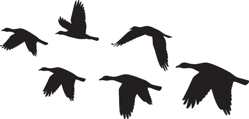 Flying Geese Silhouette © graphic_library