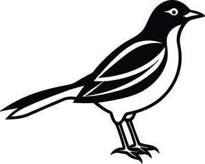 bird on a white background vector