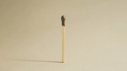 Single burnt matchstick on plain background