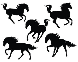 set of running free thoroughbred horses or mustangs - detailed realistic animal black and white vector silhouette set
