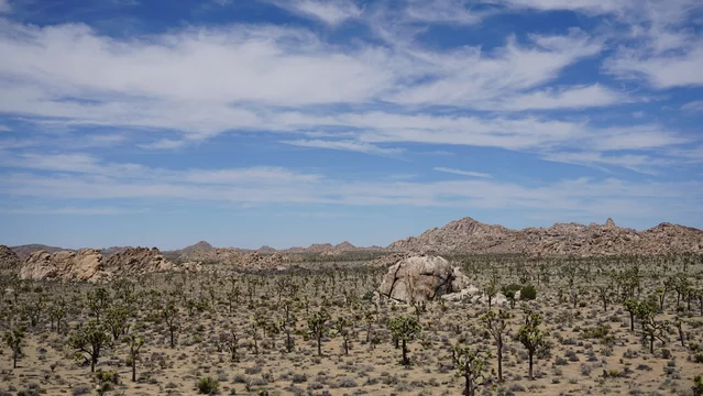 Hilltop view of desert landscape covered by sandstone boulders and Joshua trees
