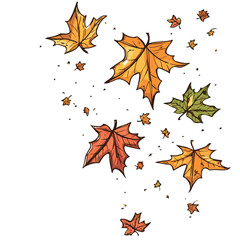 Colorful Autumn Leaves Falling Isolated On White Background With Cartoon Style Drawing