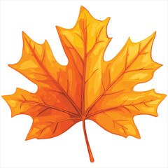 Vibrant Autumn Maple Leaf Isolated On White Background Vector Illustration