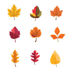 Fototapeta premium Colorful Autumn Leaves Collection In Vector Style For Seasonal Designs And Decorations