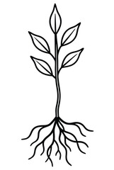 Botanical Roots Drawing on White Background