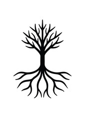 Clean Line Tree Root Icon on White Background