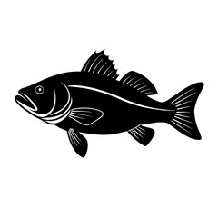 fish on a white background