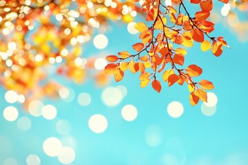 Obraz premium Autumn leaves against a vibrant sky