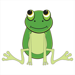 Frog on a white background