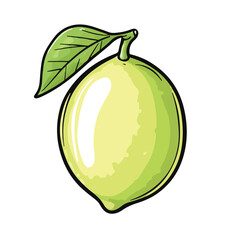Hand Drawn Lime Illustration Fresh Citrus Fruit With Leaf On White Background