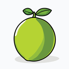 Cartoon Style Fresh Green Lime Isolated On White Background Vector Illustration