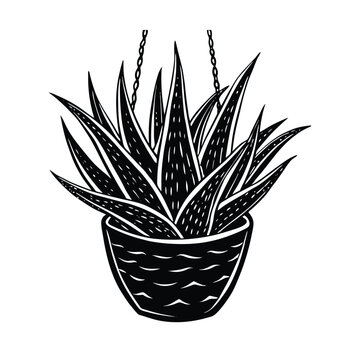 recommend clip art: an aloe vera plant in a hanging clay pot vector silhouette