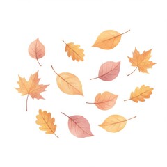 Watercolor Autumn Leaves Illustration