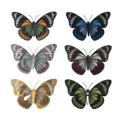 Vibrant Colored Metal Animal Illustration Unique Metallic Art Design