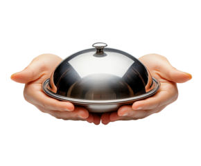 Professional culinary presentation elevating dining experience in restaurants isolated on transparent background