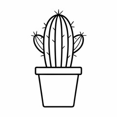 cactus in a pot