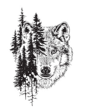 Highly detailed line art of a wolf head, symbolizing primal power, loyalty, and wilderness spirit