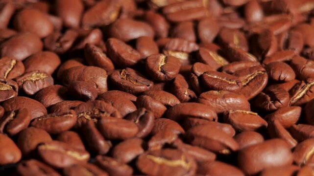 Arabica Coffee Beans Maragogipe Rotating Background. Elephant Beans