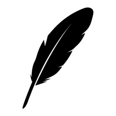 Single elegant black bird feather isolated on a white background design