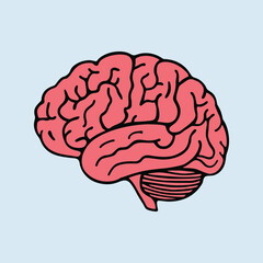 a simplistic human brain vector graphic illustration human concept