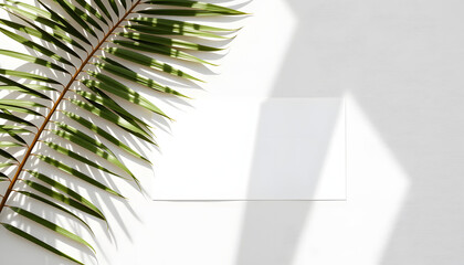 Fototapeta premium Summer wedding stationery mock-up, desk scene. Blank horizontal greeting card, dry green palm leaf. In sunlight. White linen table background. Tropical styled photo, web banner. Flat lay, top view, 