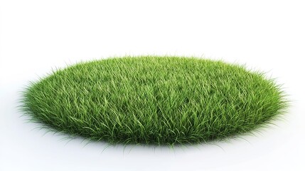 Round lush green grass patch isolated on white background.