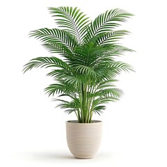 Obraz premium Lush Indoor Palm Plant in a Light Beige Pot