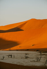 Orange dunes of Sossusvlei