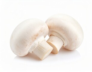Mushroom over white background, food and cuisine