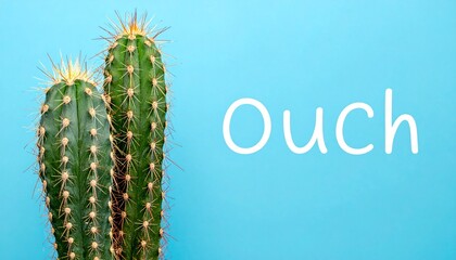 Naklejka premium Cactus et ses épines