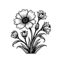 Elegant botanical illustration: Hand-drawn floral arrangement on a white canvas