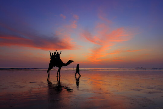 Camel Safari at Clifton beach, Karachi, Sindh, Pakistan